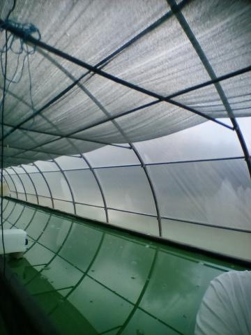 Ferme de culture de spiruline