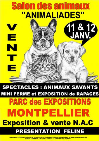 Salon chiot animalier montpellier 11/12 janv.