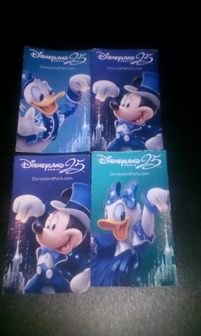 Disneyland remise au parc