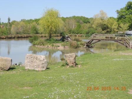 Maison en bois au bord étang