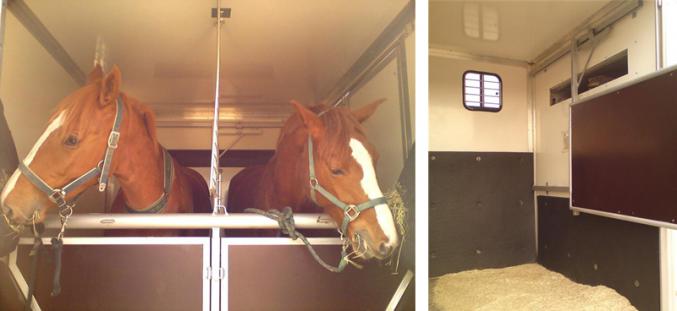 Transport de chevaux sur toute la France