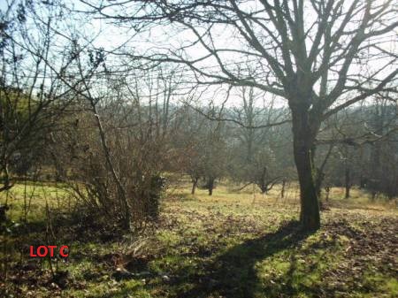 Terrain constructible à Rauzan