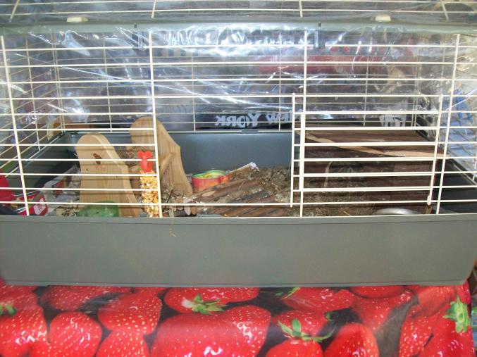 Grande cage pour rongeur