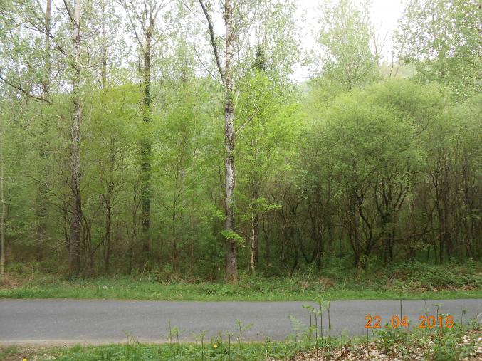 Térrain de loisirs bord de riviere