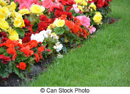 Entretien régulier de vos espaces verts et potager