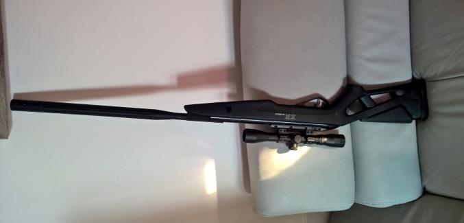 Carabine a plomb gamo igt