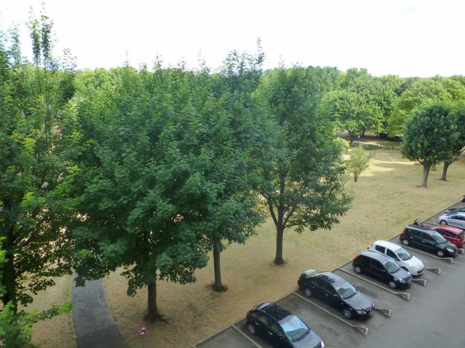 F3 au bord de la Marne Maisons-Alfort