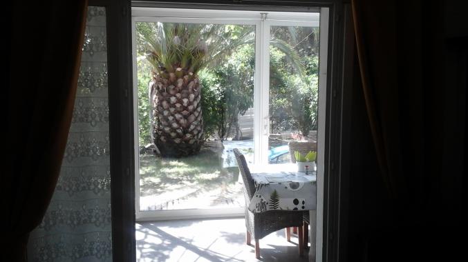 Location calvi corse