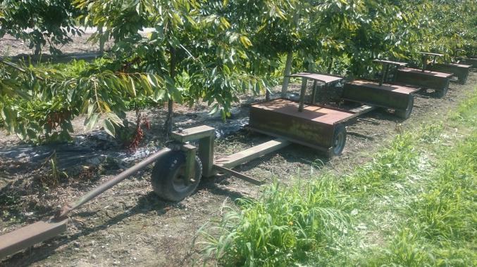 Chariot porte pallox cueillette de fruits