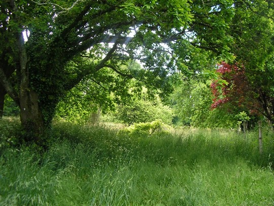 LONGERE EN PARTIE RENOVEE BEAU POTENTIEL