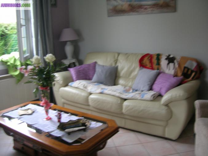 1 canapé de 3 places et un canapé de 2 places