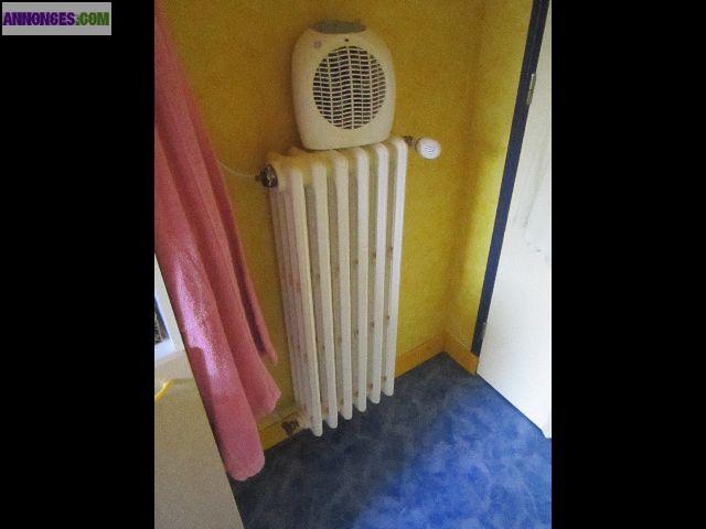 Radiateurs fonte