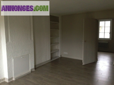 Très agréable T3 rénové entièrement,