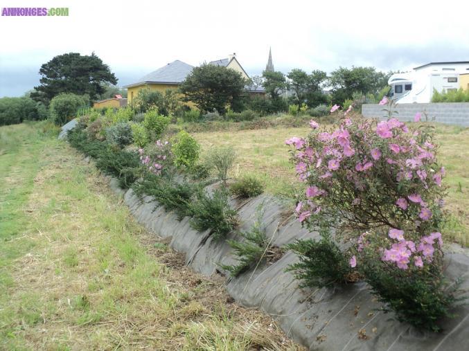 Terrain constructible