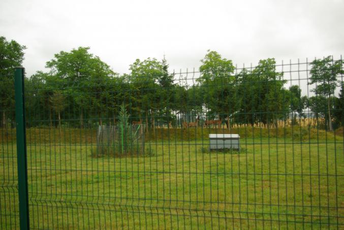 Cédons 4 ha de pâtures