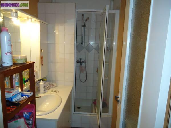 T3  60 m², proche commerce et école