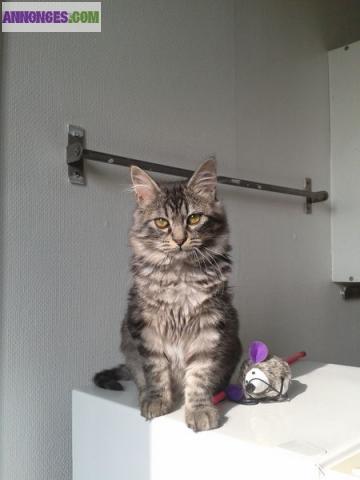 Je garde vos animaux