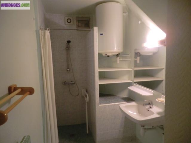 Grande maison avec nombreux garages