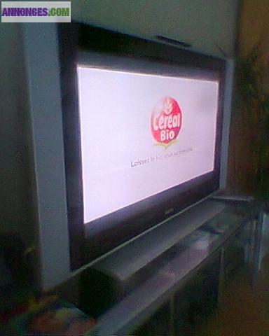 Ecran Plasma Philips 107