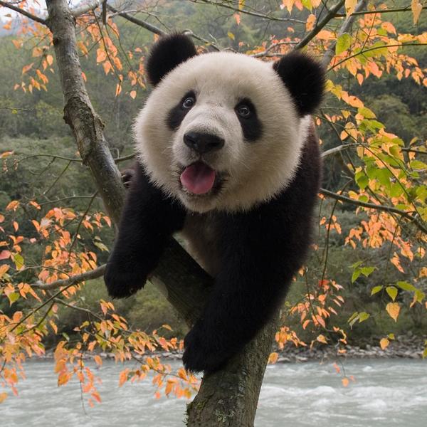 Recherche jf pour petits boulots