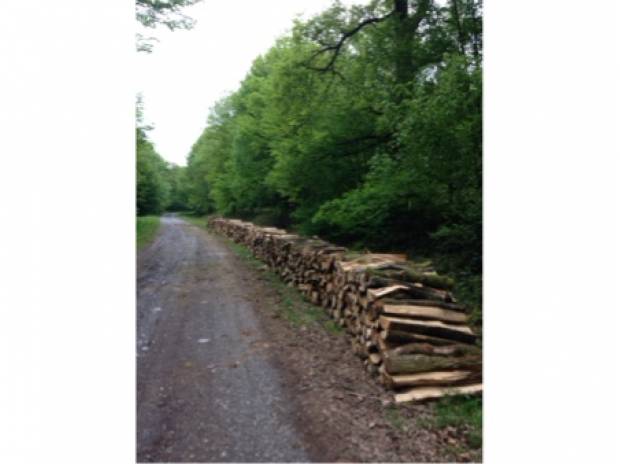 Bois de chauffage sec - Hêtre Charme Chêne Bouleau