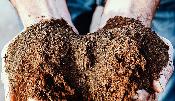 Donne terre de bonne qualité sur Rouvroy