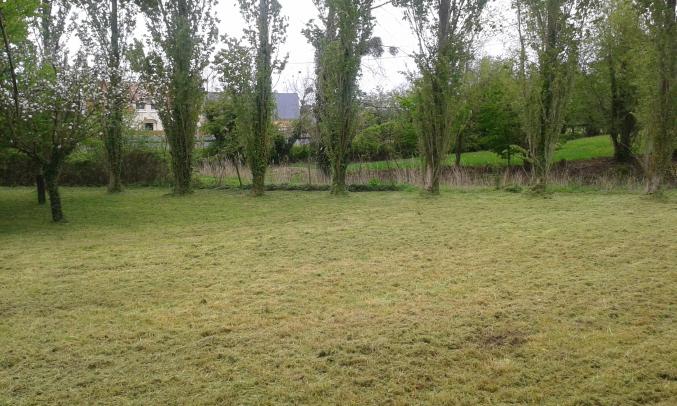 Terrain constructible viabilisé dans le cotentin