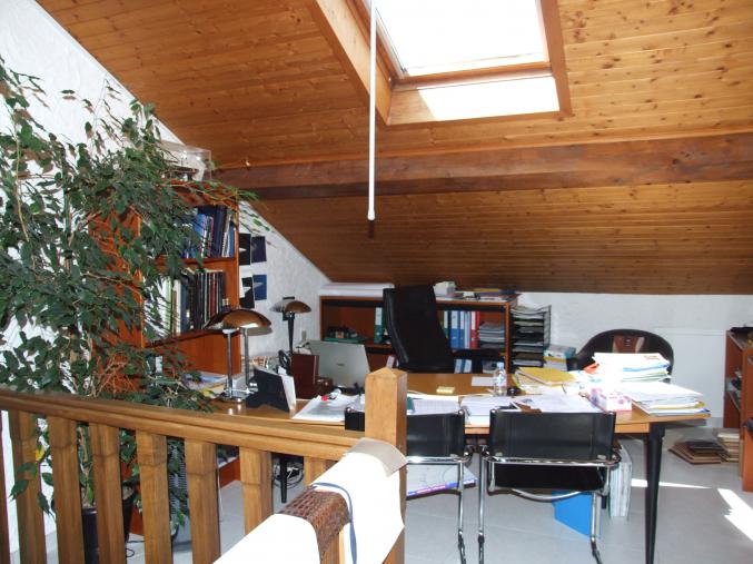 Triplex de caractère