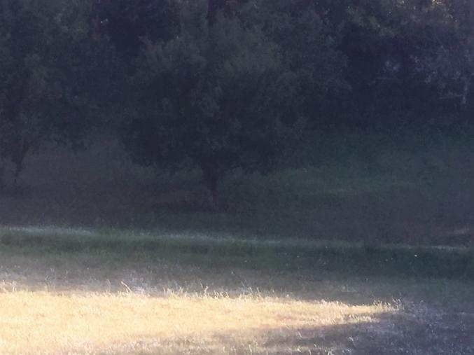 Terrain constructible 1400 m²