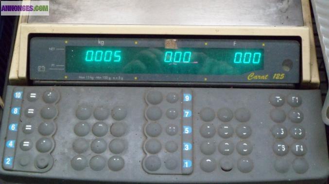 Caisse enregistreuse -balance 2 en 1