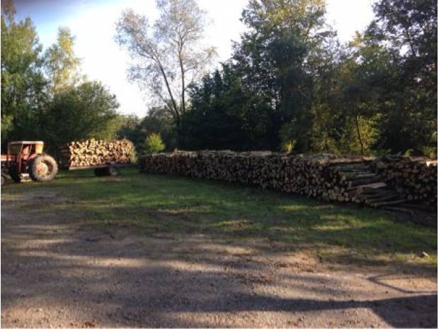 Bois de chauffage sec - Hêtre Charme Chêne Bouleau