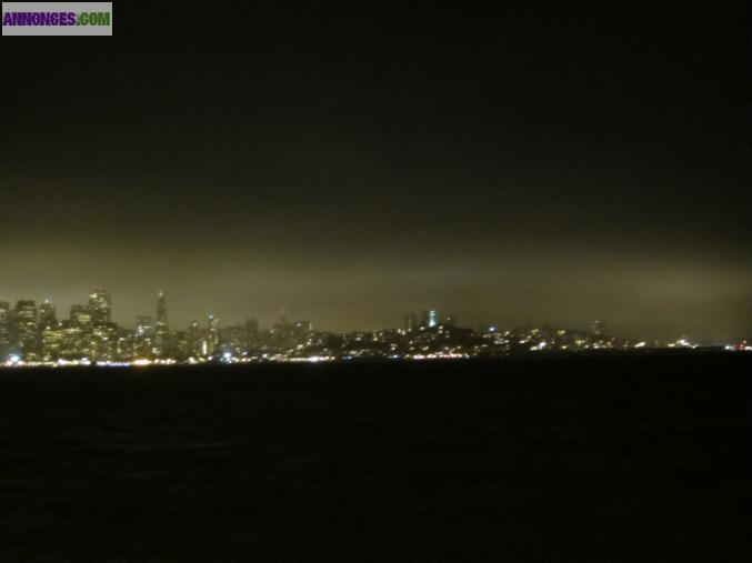 Anglais & Espagnol (langues maternelles exp. pro.)