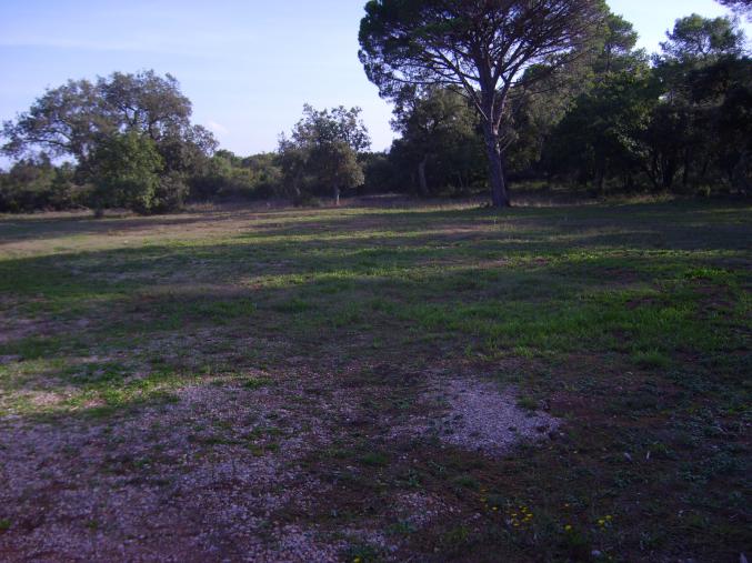 Beau Terrain au Cannet des Maures 83 Var