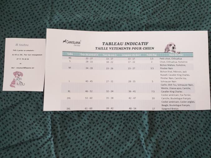 Prêt à porter en animalerie