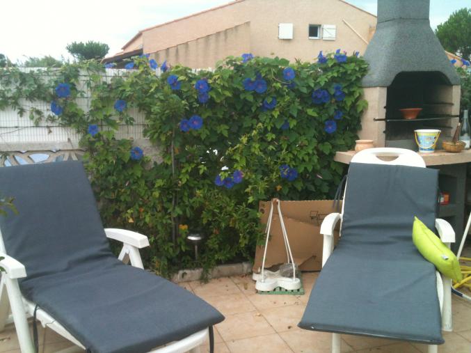 Pavillon bord de mer residence avec piscine