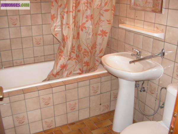 Vends appartement de type F1, Saint-Avold