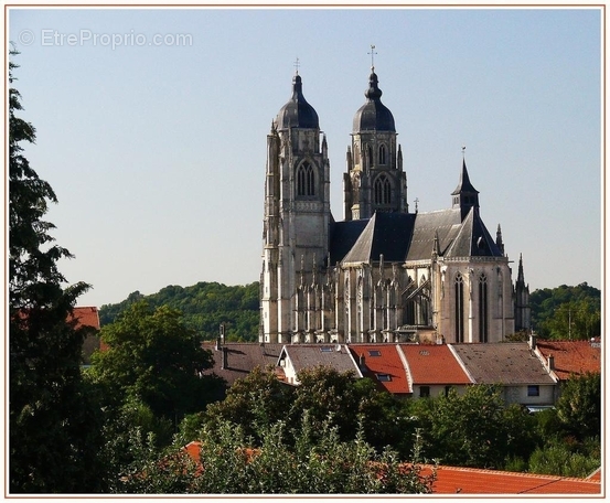 TERRAIN CONSTRUCTIBLE ARBORE 650m² SAINT NICOLAS DE PORT