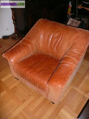 Fauteuil en CUIR de BUFFLE marron