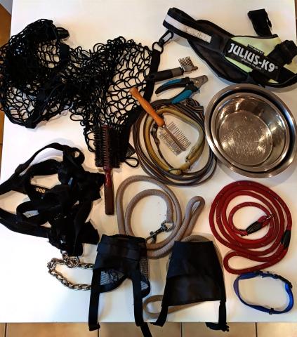 Accessoires chien