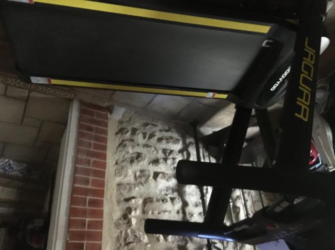 Tapis de course Jaguar MOOVYOO