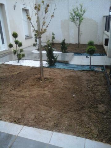 Elagage Abattage Taille Entretien Jardinier