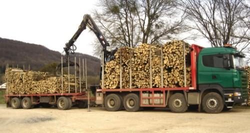 Bois de chauffage pour passer l'hiver