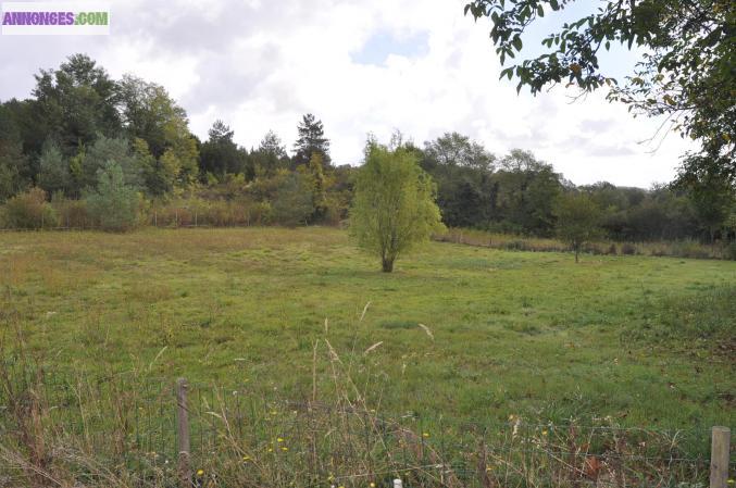 TERRAIN  A  CONSTRUIRE