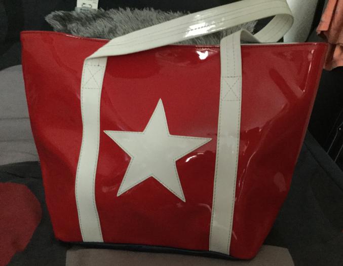 Sac anne charlotte goutal