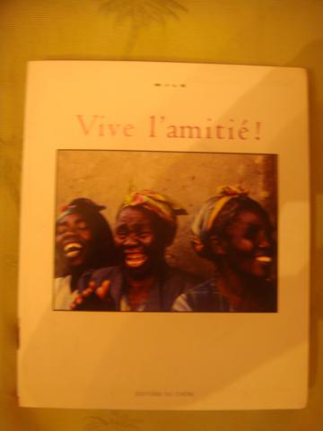 Livre 'Vive l' amitié" de BINCHY