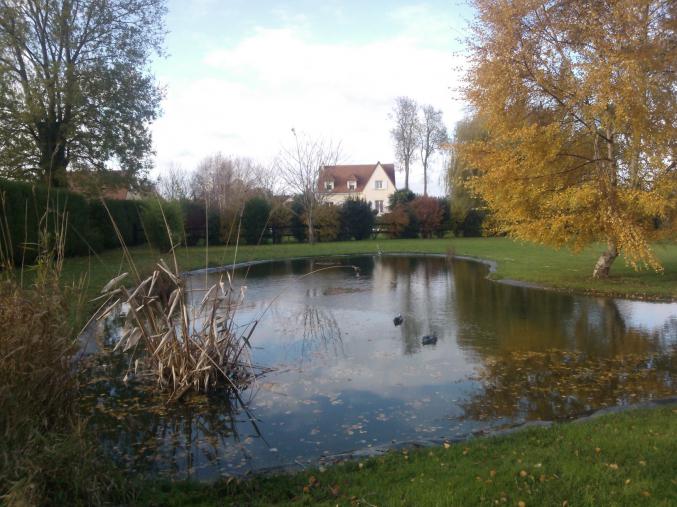 MAISON PISCINE CHAUFFE