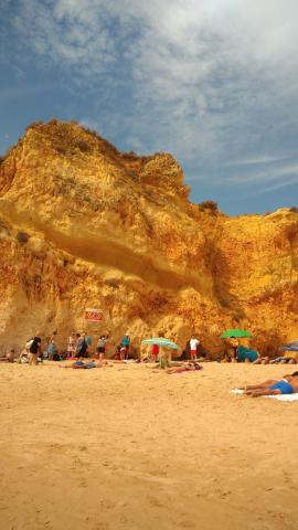 Location mobile homme