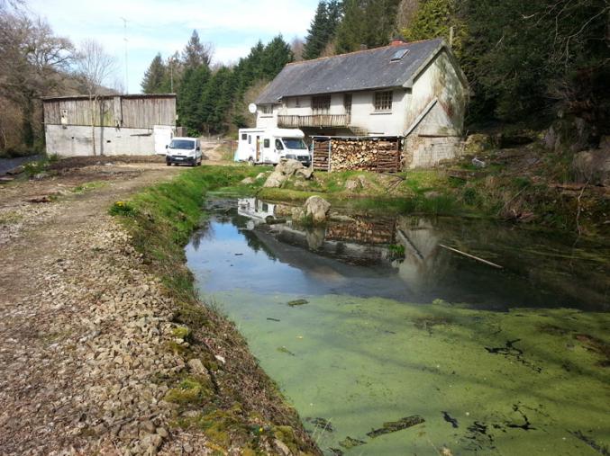 Le calme au bord de l'eau