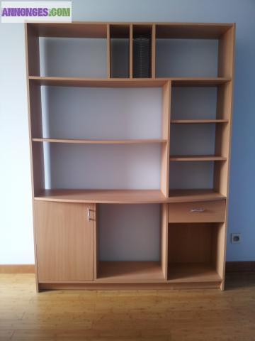 Meuble TV / bibliothèque