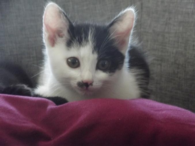 Donne contre bons soins